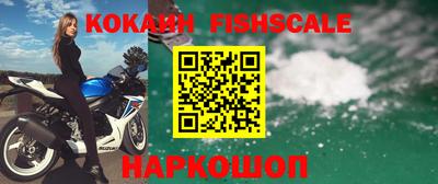 индика Ставрополь