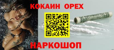индика Ставрополь