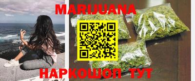 индика Ставрополь