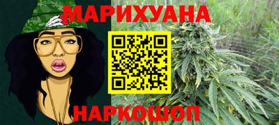 индика Ставрополь