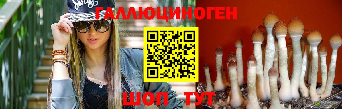 Псилоцибиновые грибы прущие грибы Мурманск
